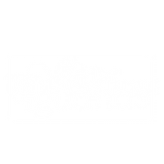 Wet Iguanas