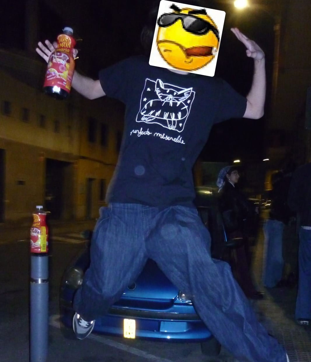 Perfecto Miserable · Camiseta Gato Negra
