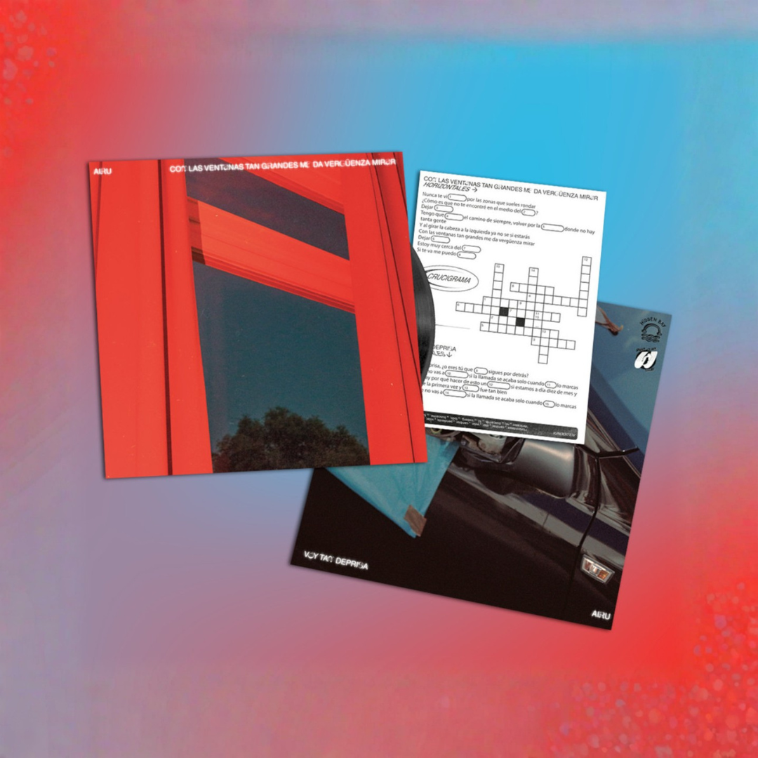 Con las ventanas tan grandes me da vergüenza mirar / Voy tan deprisa · Edición en Vinilo