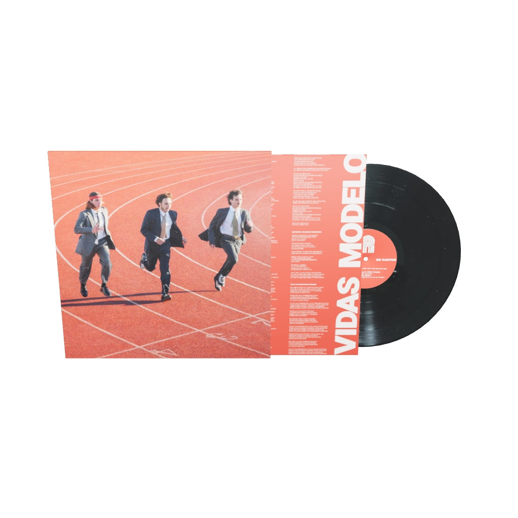Vinilo "Vidas Modelo"